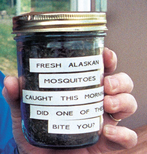 Alaskan-Mosquitoes_1.jpg