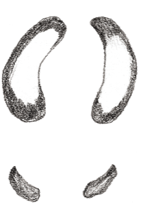Stacks Image 12