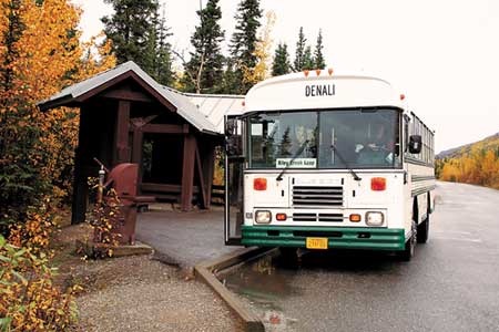 Denali free entrance shuttle bus