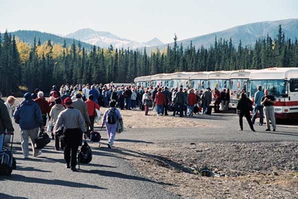 Buses pick up passengers at the Denali Park railroad station.