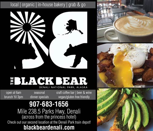 Black Bear Coffee House